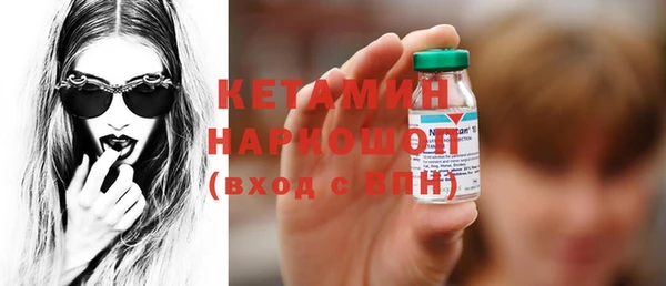 гашик Алексин