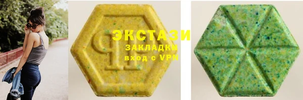 гашик Алексин